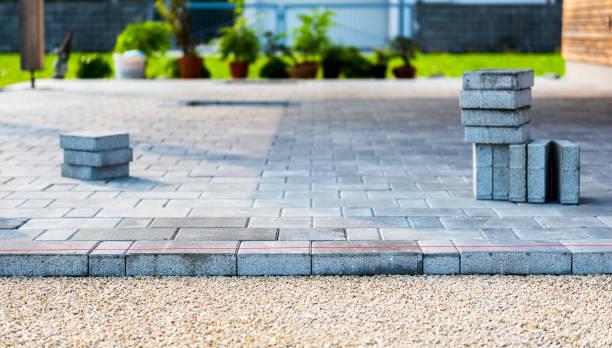 Best Driveway Maintenance Services  in Slayton, MN